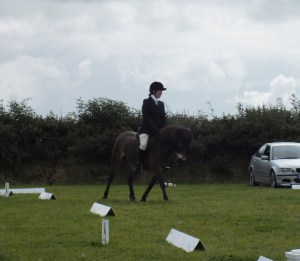 See the scary dog lurking in the background?