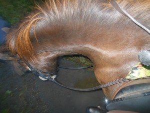 'Are you sure this is safe?'