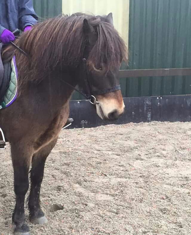 FB_IMG_1450552623084-1