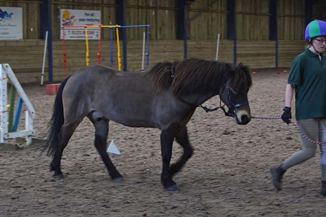 FB_IMG_1493229283829