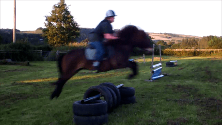 Snapshot 2 (11-07-2017 11-17 PM)