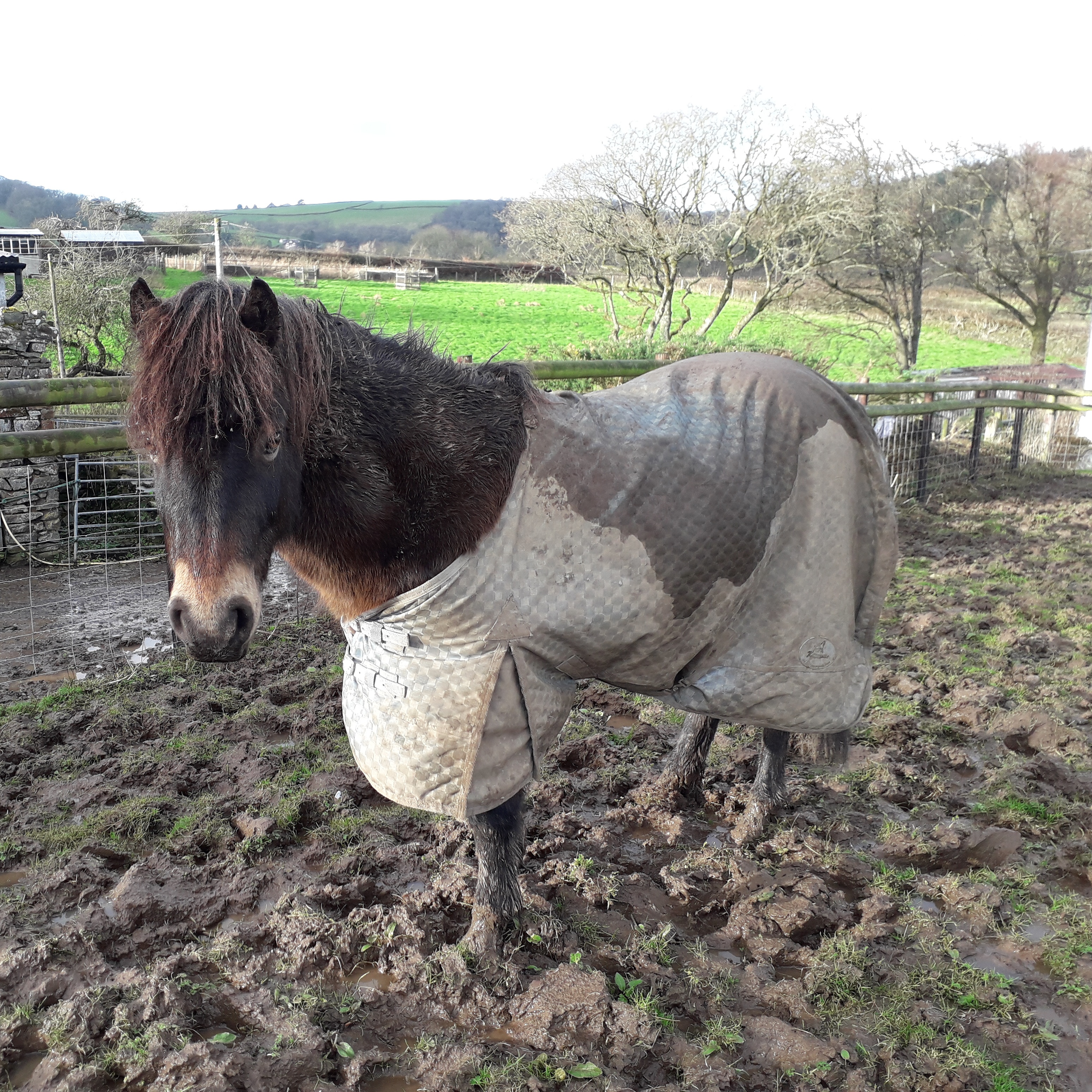 IMG_20180118_162425_559