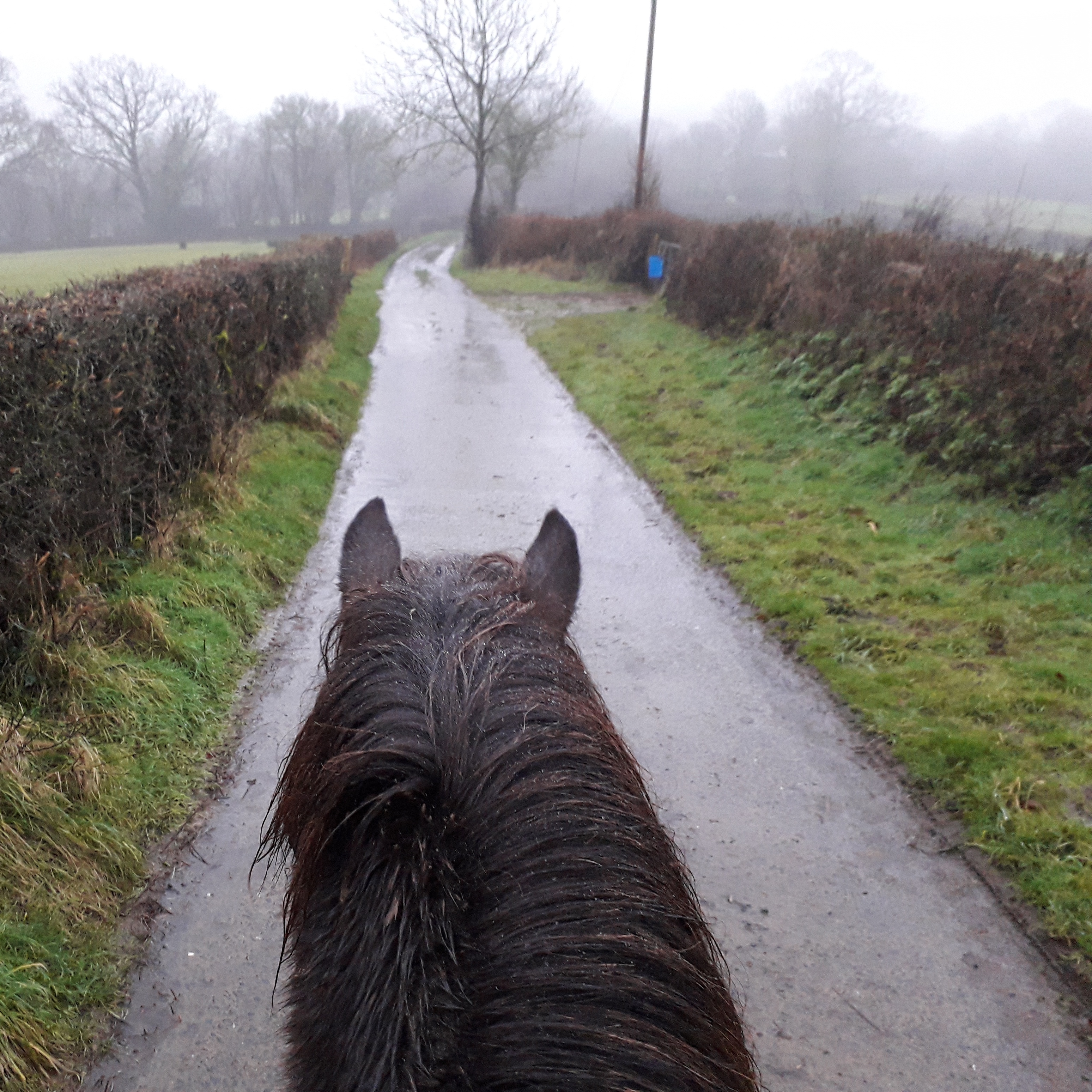 IMG_20180121_141302_863