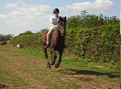 Bareback Canter 2 (2)