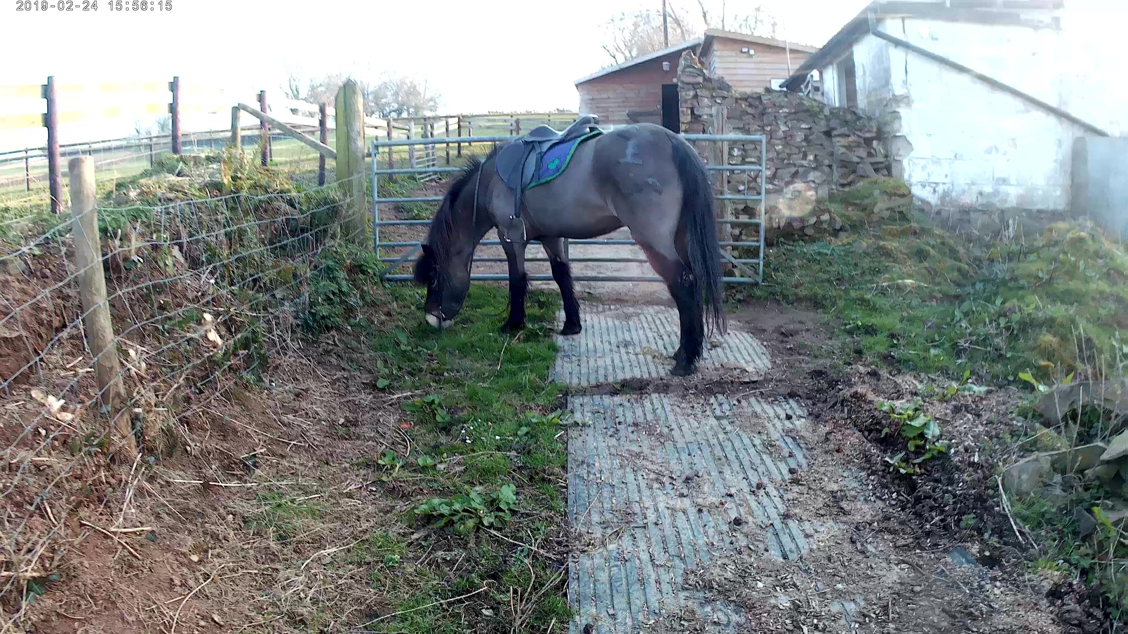 20190224_155301A_Moment