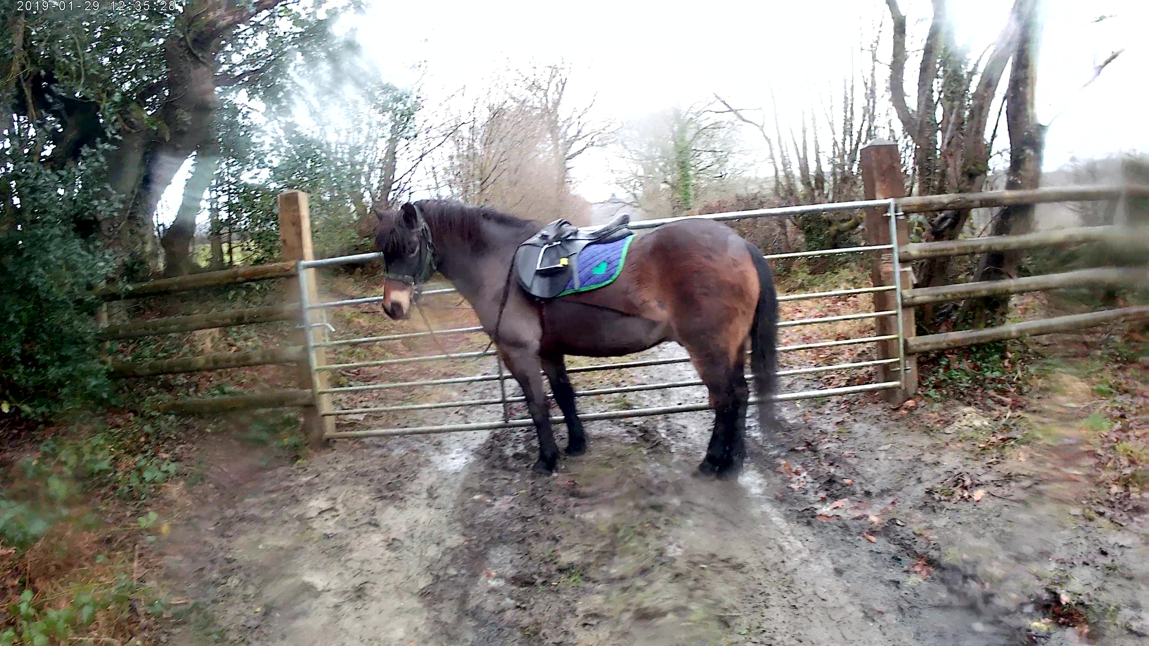 20190129_121850A_Moment