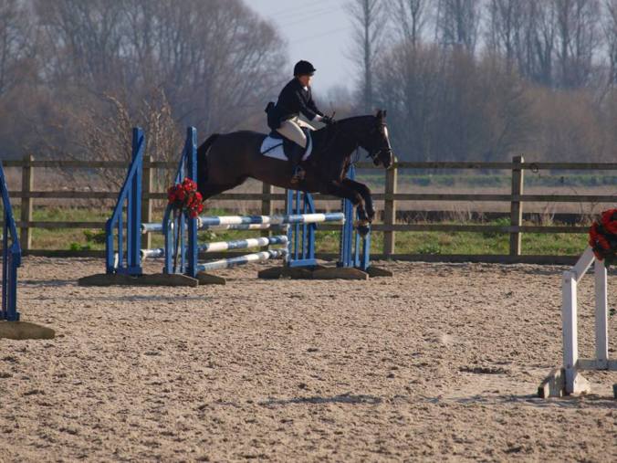 53283505_250439435865270_5857542489241550848_n