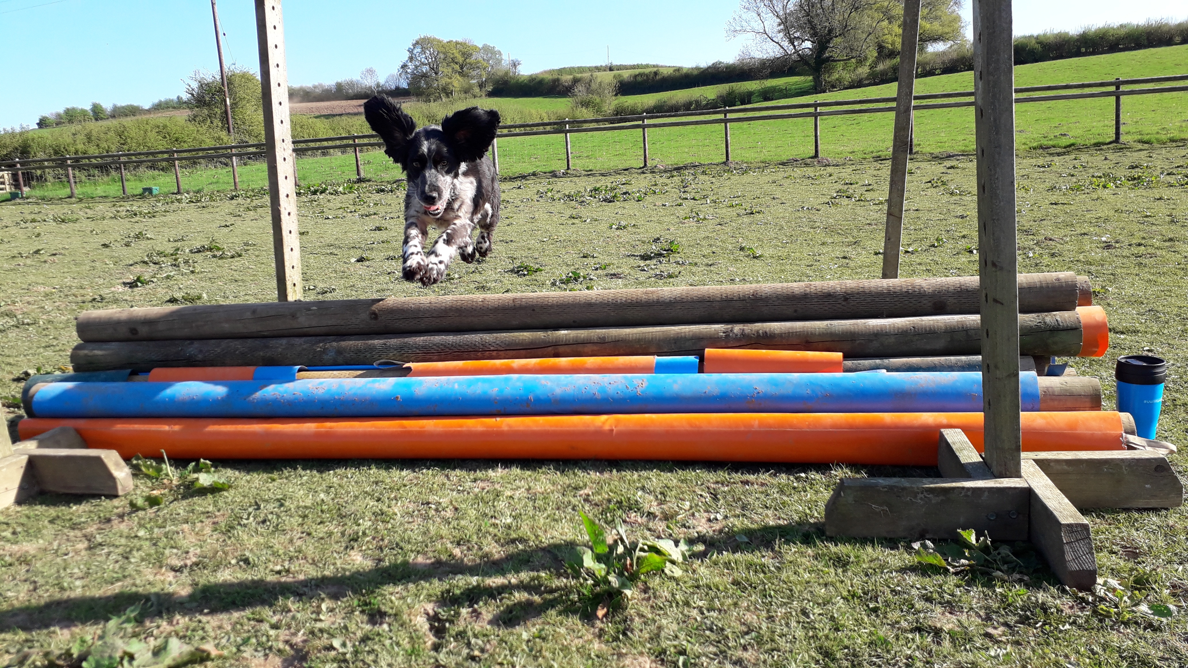 20200421_165325_003_saved