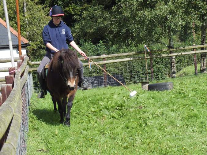 received_2796899677257775